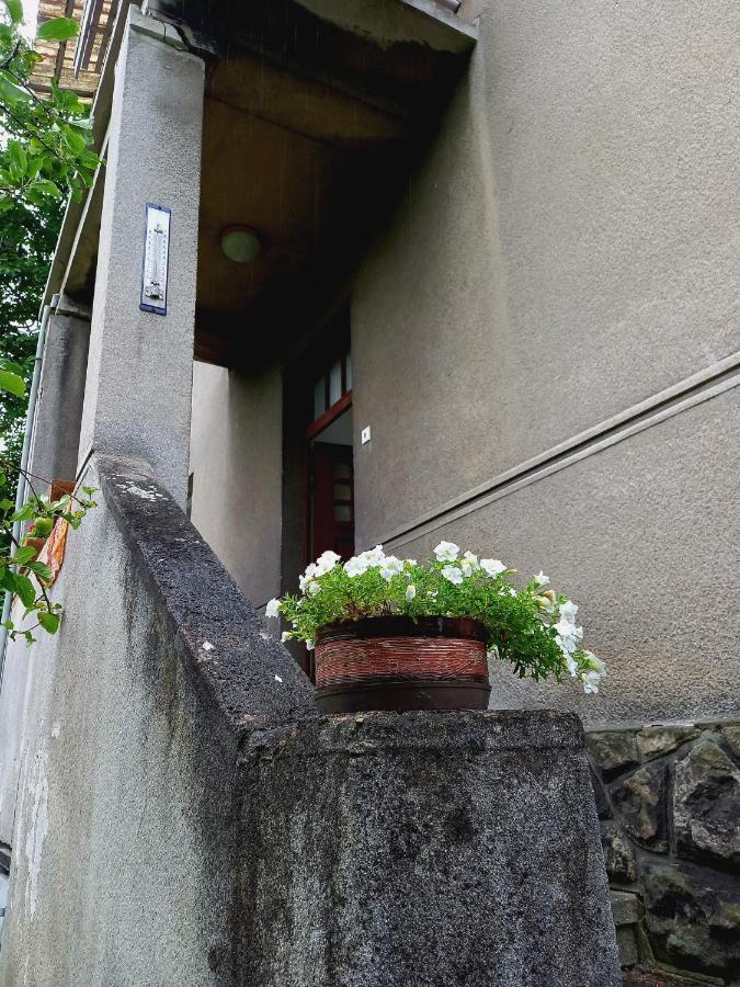Vila Kotlarska Decin Exteriör bild